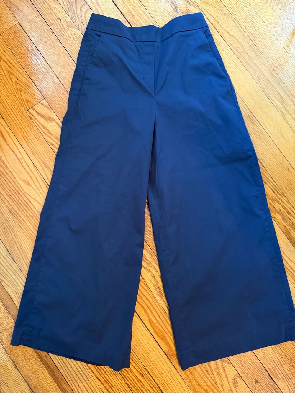 Like New Aritzia/Babaton Wide Leg Navy Cropped Pants